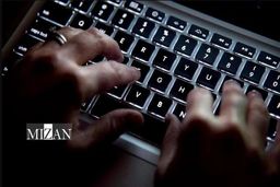 جرایم آنلاین در هلند در سیر صعودی