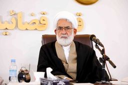 به دنبال اصلاح قانون برای کاهش ورودی پرونده هستیم