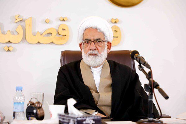 به دنبال اصلاح قانون برای کاهش ورودی پرونده هستیم