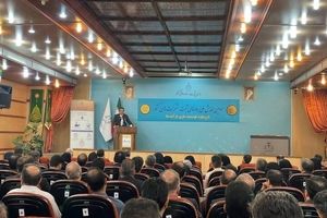 شناسایی ۸۵۰ هزار شرکت صوری در کشور