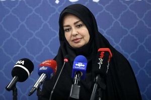 صدور بیش از ۴ میلیون و ۲۵۰ هزار سند تک‌برگ سبزرنگ از تیرماه ۱۴۰۳